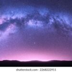 LOL风云直播间:大神操作与爆笑瞬间全收录 stkdbq